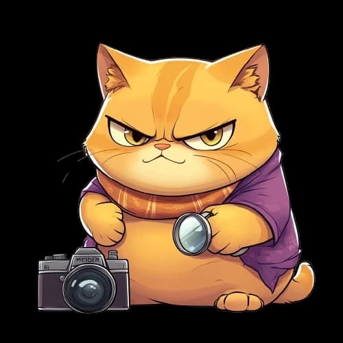 뚱냥이 사주 보고 한마디